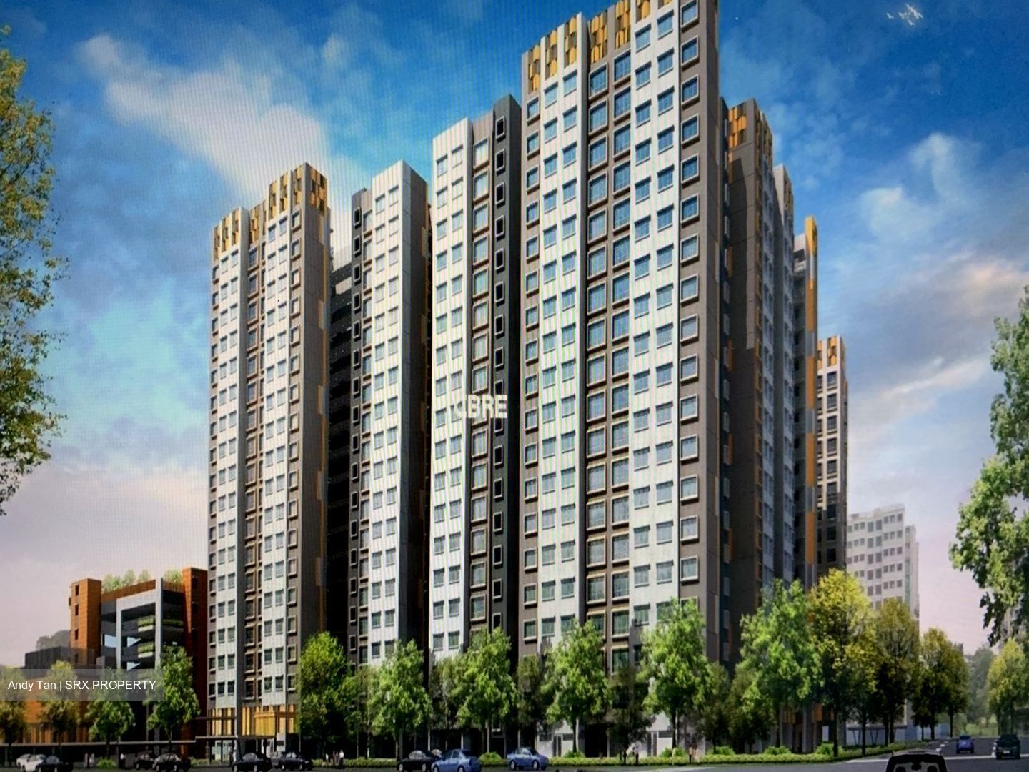 Macpherson Blossom (D13), Retail #445499311